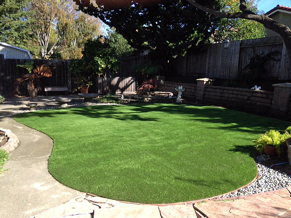Artificial Lawn Santa Clara Utah Landscape Ideas Backyard Designs