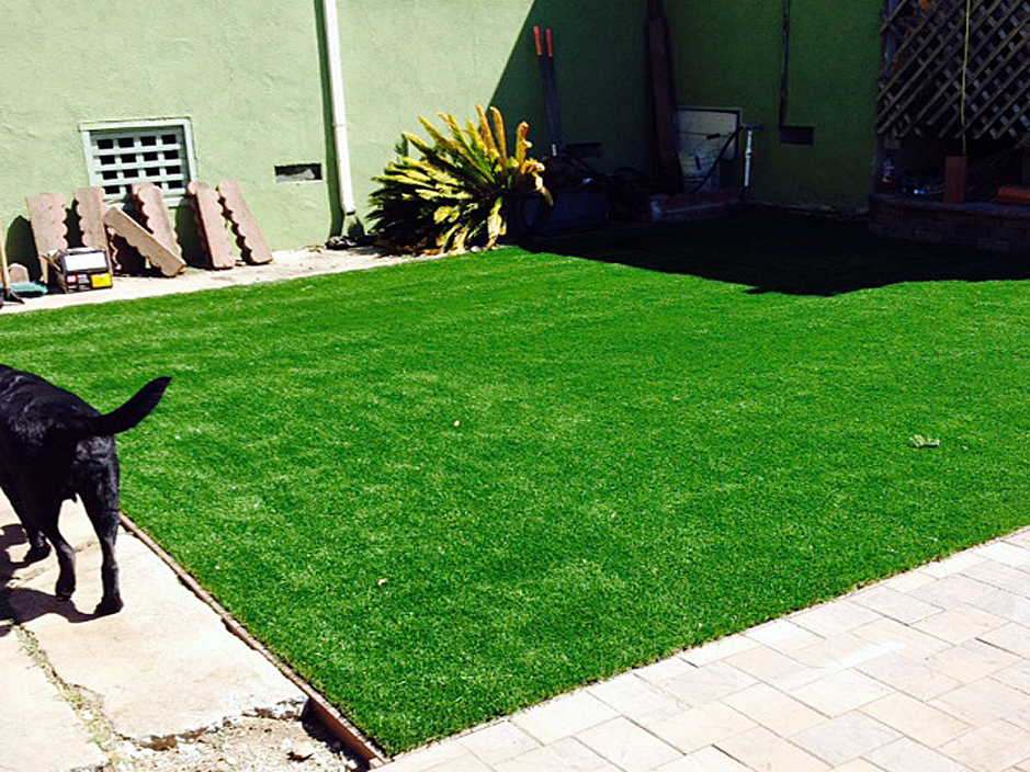 Fake Turf Farmington Utah Watch Dogs Backyard Garden Ideas