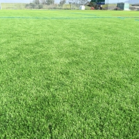 Artificial Grass Blanding, Utah Roof Top