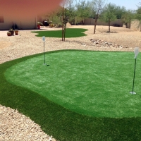 Artificial Grass Carpet Blanding, Utah Outdoor Putting Green, Backyard