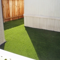 Artificial Grass Carpet Tselakai Dezza, Utah City Landscape, Backyard Designs