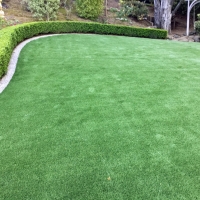 Artificial Turf Cost Elk Ridge, Utah Design Ideas, Backyard