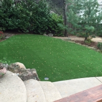 Fake Grass Carpet Gunnison, Utah Garden Ideas, Backyard Landscaping