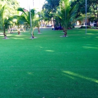 Fake Grass Carpet Marriott-Slaterville, Utah Lawn And Landscape, Landscaping Ideas For Front Yard