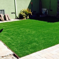 Fake Turf Farmington, Utah Watch Dogs, Backyard Garden Ideas