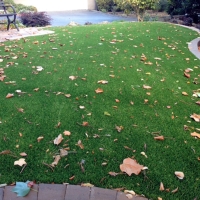 Fake Turf La Sal, Utah Landscape Rock, Front Yard Ideas