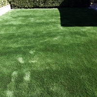 Grass Carpet Bear River City, Utah Home And Garden, Backyard Designs