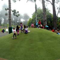 Grass Carpet Koosharem, Utah Rooftop, Parks