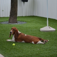 Grass Carpet Liberty, Utah Artificial Turf For Dogs, Dog Kennels