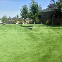 Grass Installation Naples, Utah Dog Run, Recreational Areas