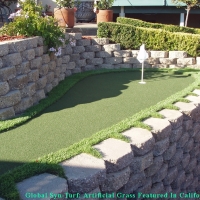 Grass Turf Orem, Utah Landscape Ideas, Backyards