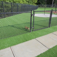 Grass Turf Stockton, Utah Lawn And Garden, Recreational Areas