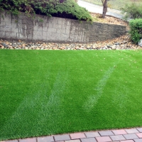 Green Lawn Copperton, Utah Fake Grass For Dogs, Backyard Design