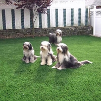 Installing Artificial Grass Enterprise, Utah Backyard Deck Ideas, Small Backyard Ideas