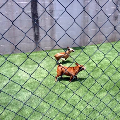 Artificial Grass Carpet Brian Head, Utah Dog Run