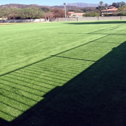 Artificial Grass Carpet Montezuma Creek, Utah Landscaping Business