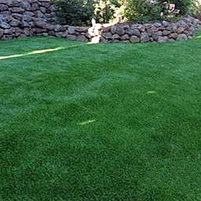 Artificial Grass Carpet Oasis, Utah Dog Grass, Backyard Landscaping