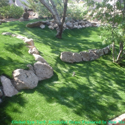 Artificial Grass Carpet Ogden, Utah Landscape Ideas, Pavers