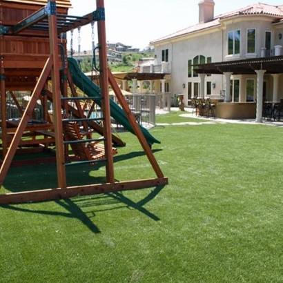 Artificial Grass Carpet Richmond, Utah Rooftop, Backyard Garden Ideas