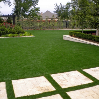 Artificial Grass Centerville, Utah Gardeners, Backyard Design