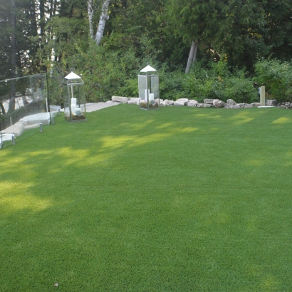 Artificial Grass Copperton, Utah Rooftop, Backyard Garden Ideas