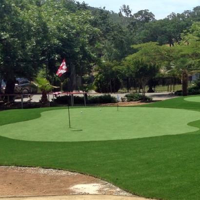 Artificial Grass Lindon, Utah Backyard Putting Green, Landscaping Ideas For Front Yard