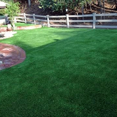 Artificial Grass Vernon, Utah Dog Pound, Backyard Designs