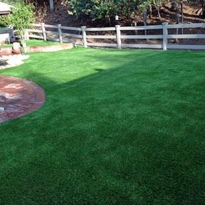 Artificial Grass Vernon, Utah Dog Pound, Backyard Designs