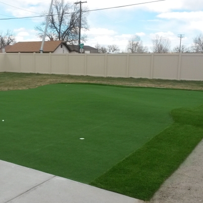 Artificial Grass Willard, Utah Putting Green, Beautiful Backyards