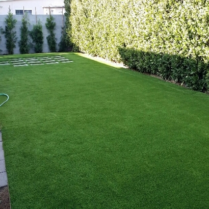 Artificial Lawn Bluffdale, Utah City Landscape, Backyard Landscaping Ideas