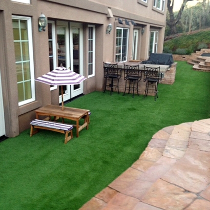 Artificial Lawn Ivins, Utah Roof Top, Backyard Landscaping Ideas