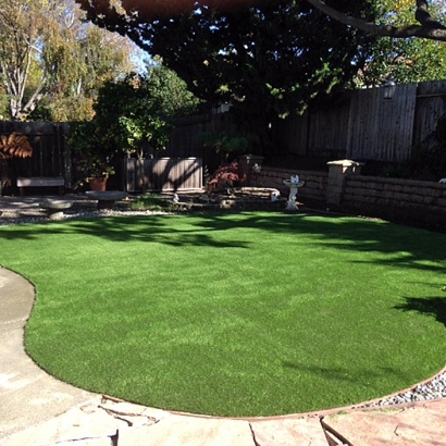 Artificial Lawn Santa Clara, Utah Landscape Ideas, Backyard Designs