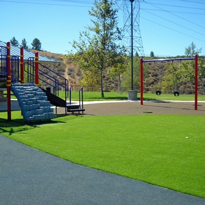 Artificial Turf Cost Castle Valley, Utah Paver Patio, Recreational Areas