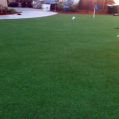 Best Artificial Grass Big Water, Utah Design Ideas, Backyard Landscaping