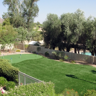 Best Artificial Grass Orderville, Utah Backyard Putting Green, Backyard Landscaping