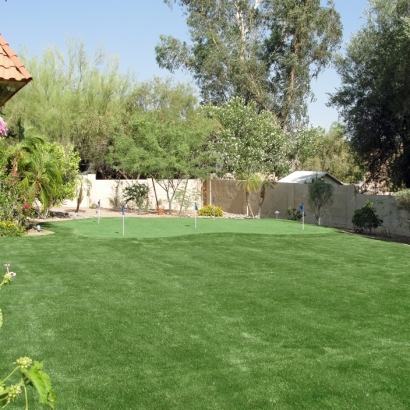Best Artificial Grass Orderville, Utah Backyard Putting Green, Backyard Landscaping