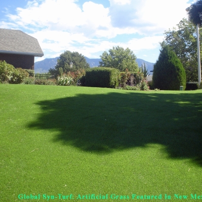 Best Artificial Grass Sandy City, Utah Pet Grass, Backyard Design