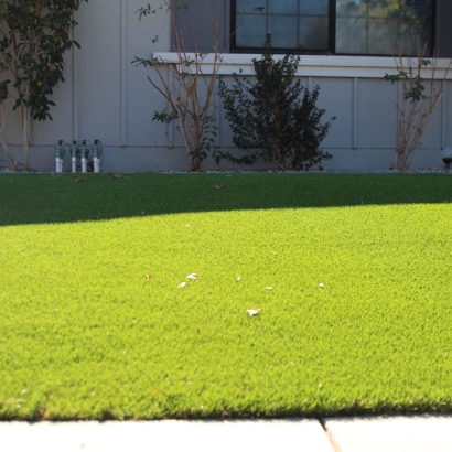 Fake Grass Carpet Lewiston, Utah Landscaping Business, Front Yard Ideas