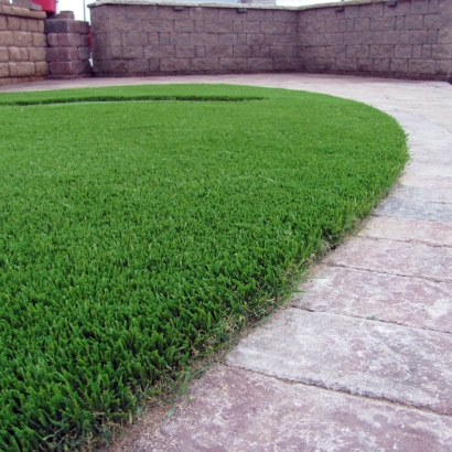 Fake Grass Carpet Mona, Utah Dogs, Front Yard Landscaping