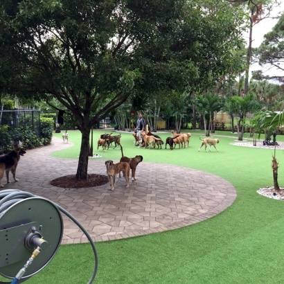 Fake Grass Carpet Payson, Utah Landscape Photos, Commercial Landscape