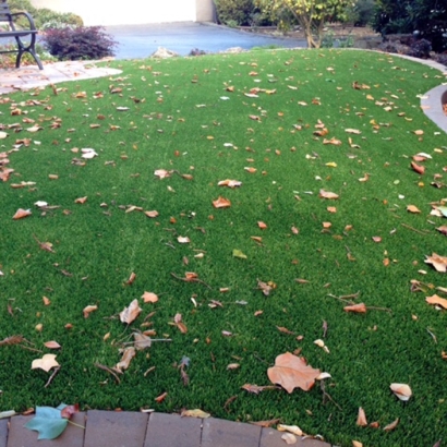 Fake Turf La Sal, Utah Landscape Rock, Front Yard Ideas