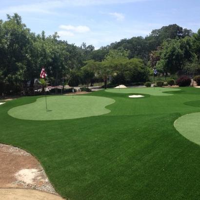 Fake Turf Newton, Utah Putting Green Carpet, Front Yard Ideas