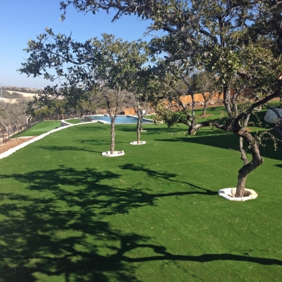 Faux Grass Dutch John, Utah Putting Green Carpet, Backyard