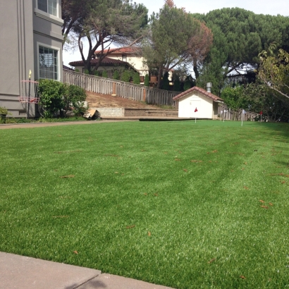 Faux Grass LaVerkin, Utah Outdoor Putting Green, Backyard Garden Ideas