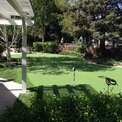 Grass Carpet Honeyville, Utah Home And Garden