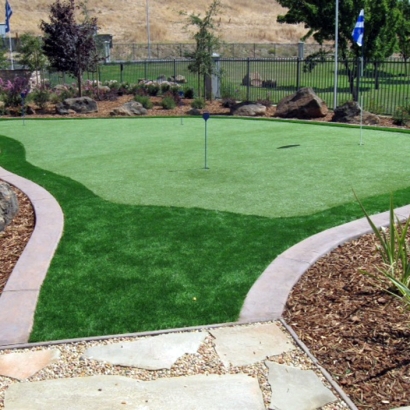 Grass Carpet Millcreek, Utah Golf Green, Backyard Landscape Ideas