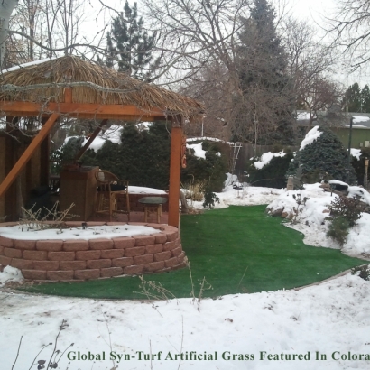 Grass Carpet Roy, Utah Landscape Ideas, Backyard Design