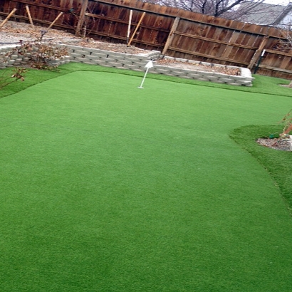 Grass Carpet Tremonton, Utah Artificial Putting Greens, Backyard