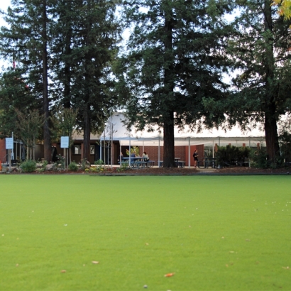 Grass Turf Henrieville, Utah Playground, Recreational Areas