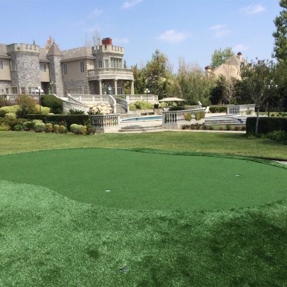 Grass Turf Holladay, Utah Landscaping Business, Front Yard Ideas